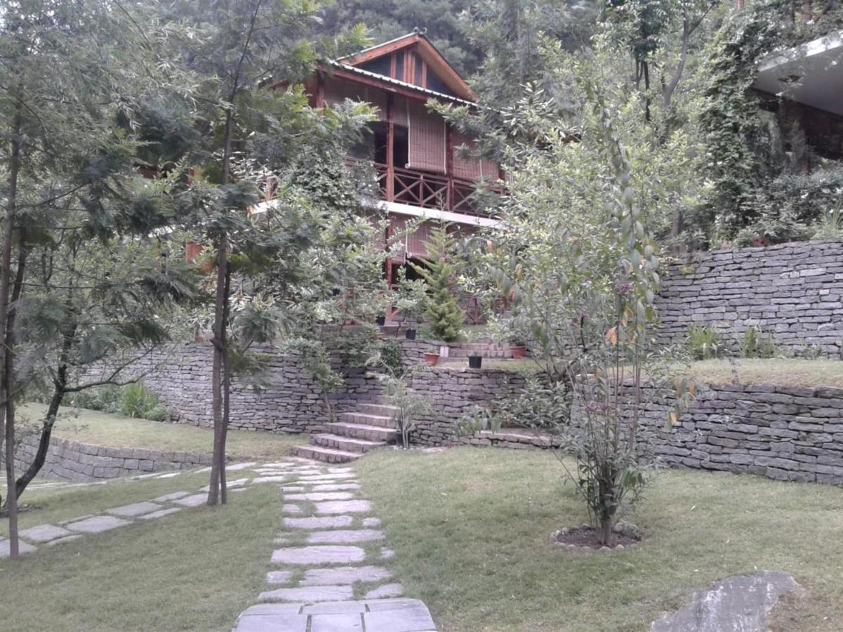Tall Trees Resort - Manali (Himachal Pradesh), Manali