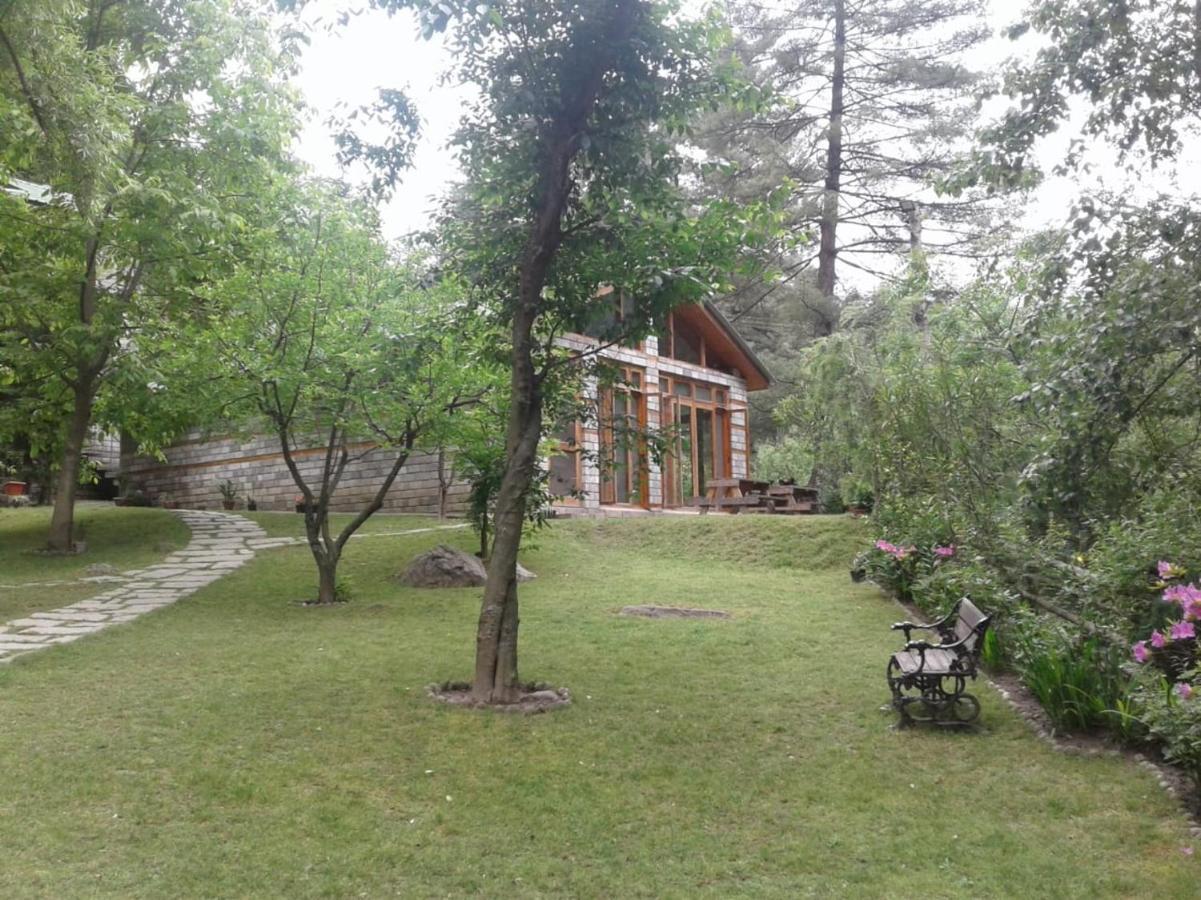 Tall Trees Resort - Manali (Himachal Pradesh) — Photos 1
