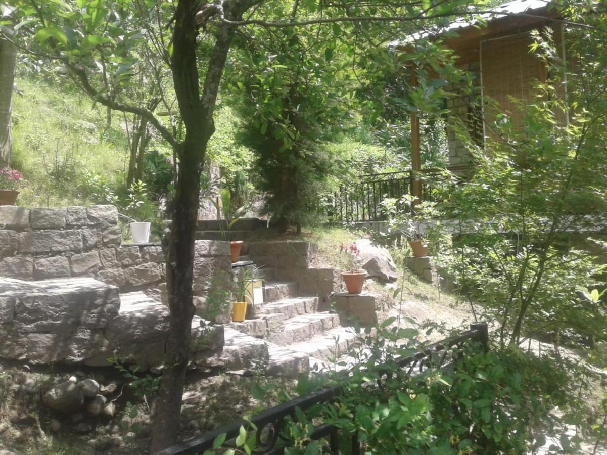 Tall Trees Resort - Manali (Himachal Pradesh) — Photos 2